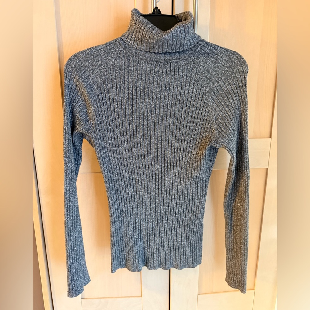 EUC INC International Concepts silver shimmer fitted turtleneck sweater